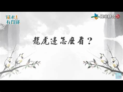 住宅龍虎邊|【大樓龍邊虎邊】大樓龍邊虎邊怎麼分？一次搞懂！